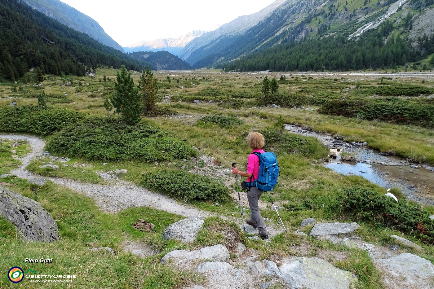 91 Il torrente glaciale si dirama e discende nella lunga Val di Roseg.JPG